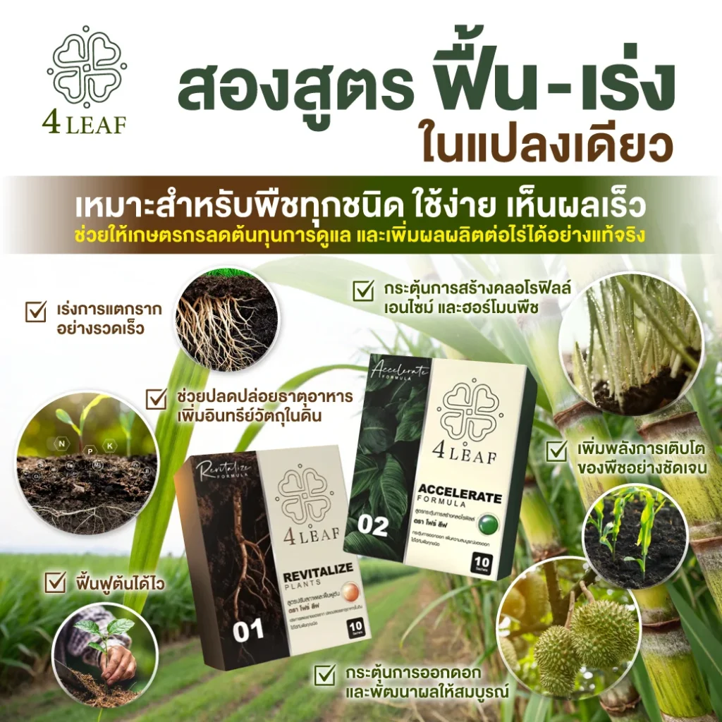 4 LEAF โฟลีฟ อาหารพืช ธาตุอาหารพืช แก้ดินเค็ม จุลินทรีย์ดิน